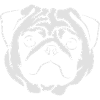 Mops Portrait - Negative Stil