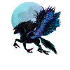 Black Pegasus