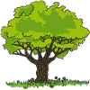 Tree drawing meadow and flowers