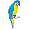 Macaw parrot yellow, blue drawing