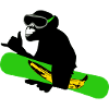 snowboard monkey