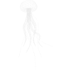 JOSZ DESIGN Jellyfish 1
