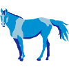 Pferde, horse