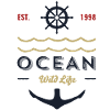Outdoor ocean