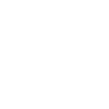 badminton bad