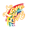 CSD T-Shirt love is love