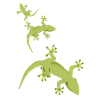 echsen