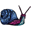 Snail