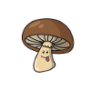 Shiitake arrive cadeau