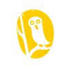 funny little owl