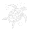 Watchful Turtle