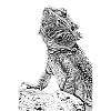 Bearded dragon the lizard