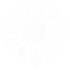 Sommer Sonnenblume. Prima Geschenksidee!