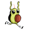 Baby avocado