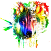 Wolf Splash Modern