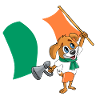 Ireland fan dog