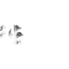 Beast Schriftzug Grizzlybär Geschenkidee