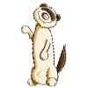 Petit furet d'Harlequin - Furet - Marten