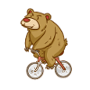 Bear - Biking - Sports - Gift