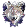 Wolf | Animal | Grey Wolf