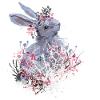 Hare in the forest
