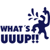 what_s_uuup_mono_50