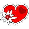 Edelweiss heart flower heart