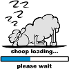 sheep loading