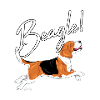 Beagle!