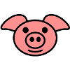 pig
