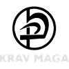 Krav Maga Arts Martiaux Mixtes Autodéfense