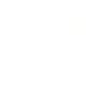 Chemise Axe Viking
