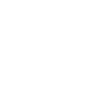 Cats face with sunglasses