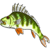 perch