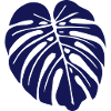 monstera leaf