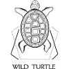 Wild turtle