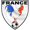 france écusson sport