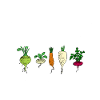Gärtner aus Leidenschaft