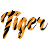 Tiger lettering pattern black stripes