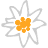 Edelweiss