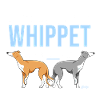 Whippet Get it III