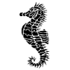 Hyppocampe