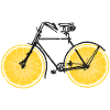 Bicycle oranges lemons