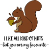squirrel