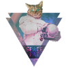 SPACE CAT