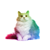 Cat unicorn meowgical cute cat gift colorful