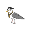 Rapper seagull