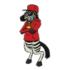 Hip Hop Zebra