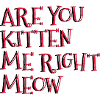 Êtes-vous Kitten Me Right Meow