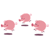 petits cochons